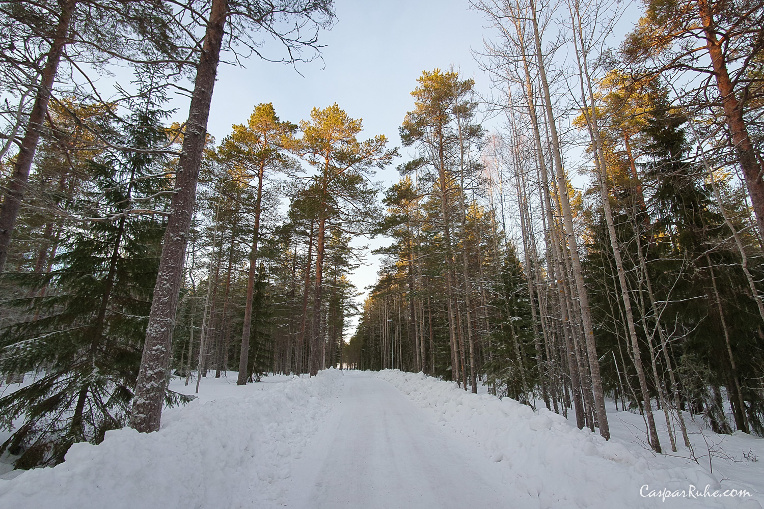 Kärleksviken